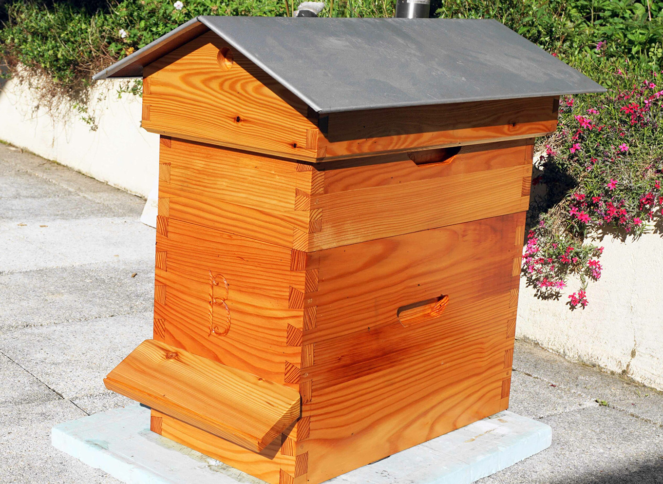 Concept d&rsquo;une ruche à queue d&rsquo;aronde